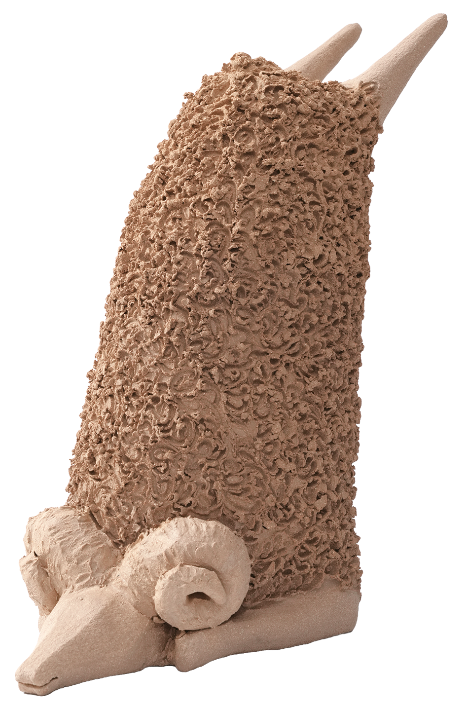雅典娜·贾汉蒂格库恰克 Athena Jahantighkoochak 滋贺公羊 Shiga Ram.png